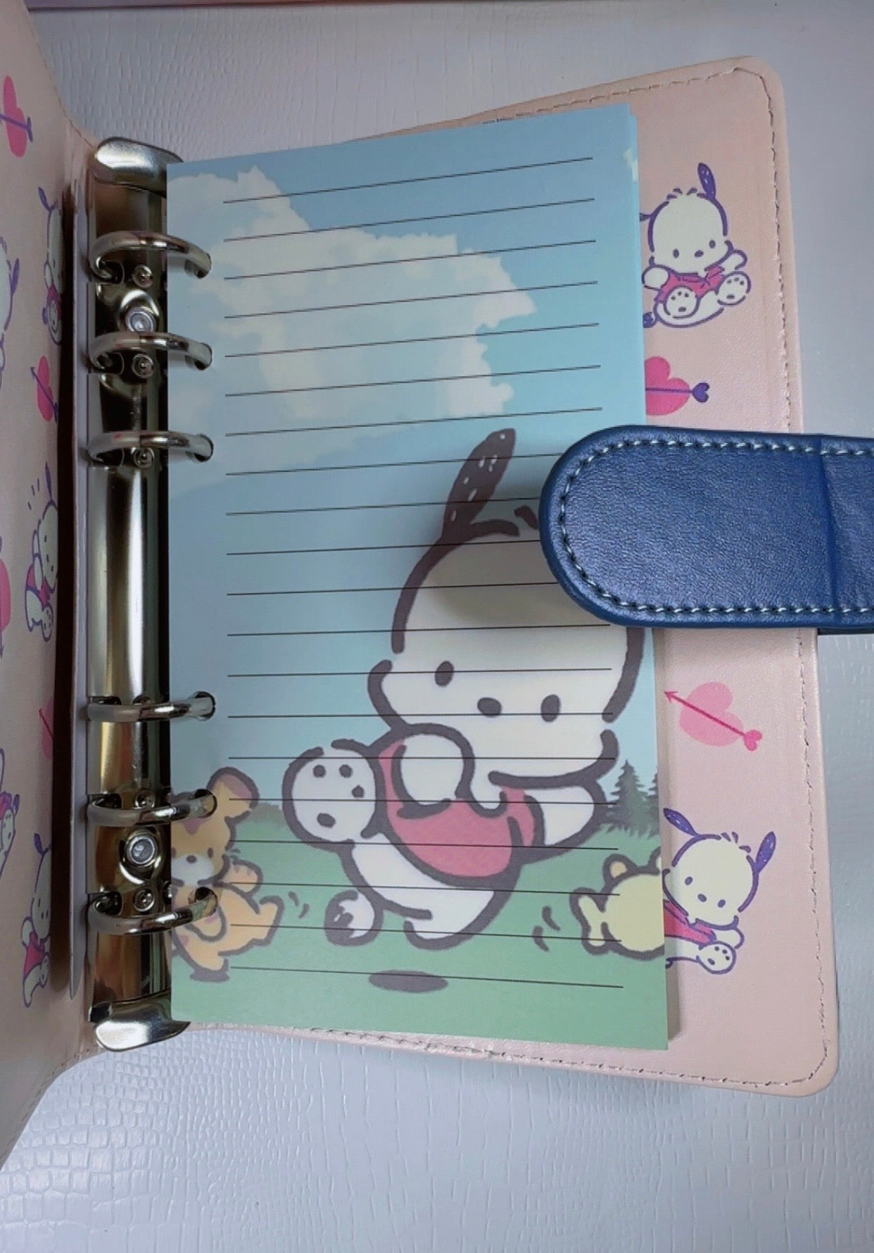 Sanrio A6 Planner Collection
