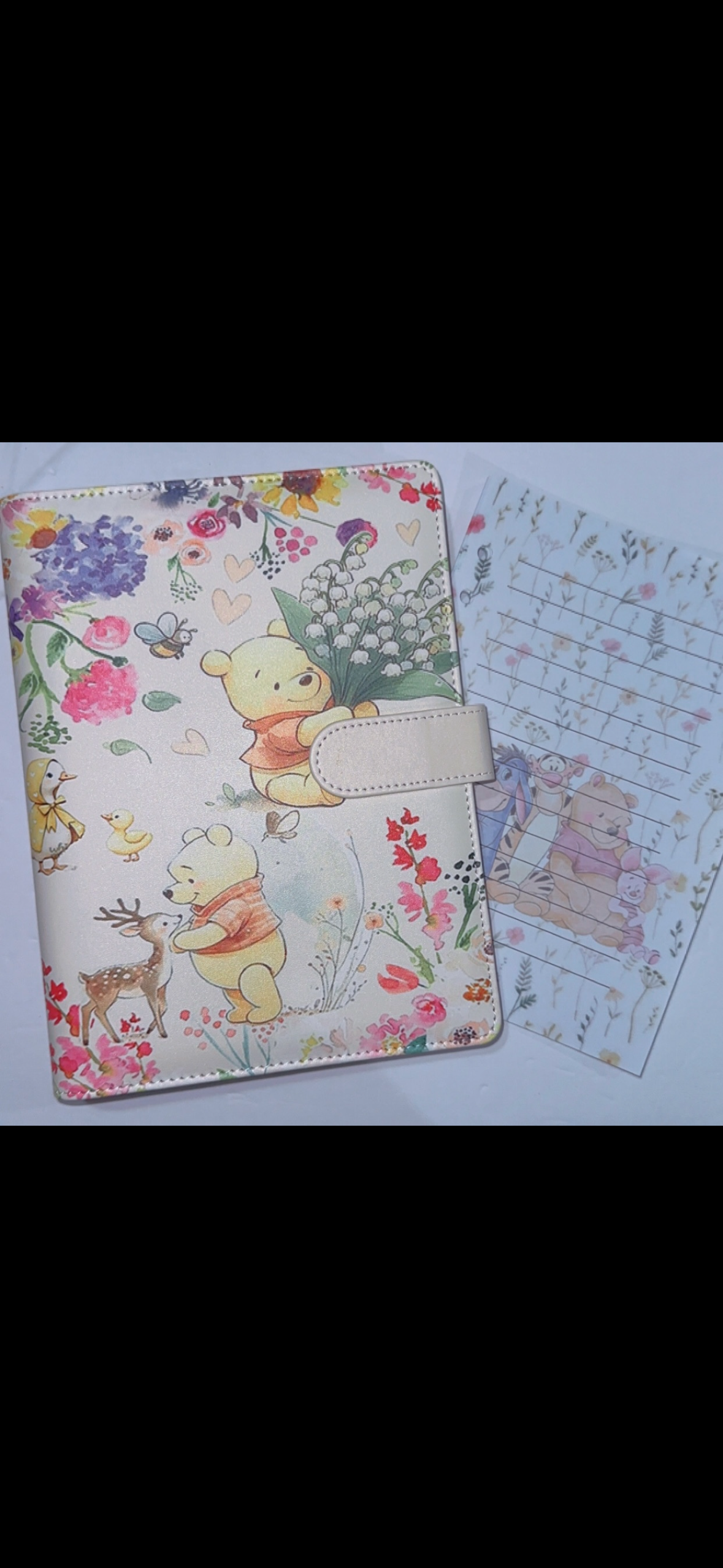 Winnie the Pooh  A5 Binder & Paper