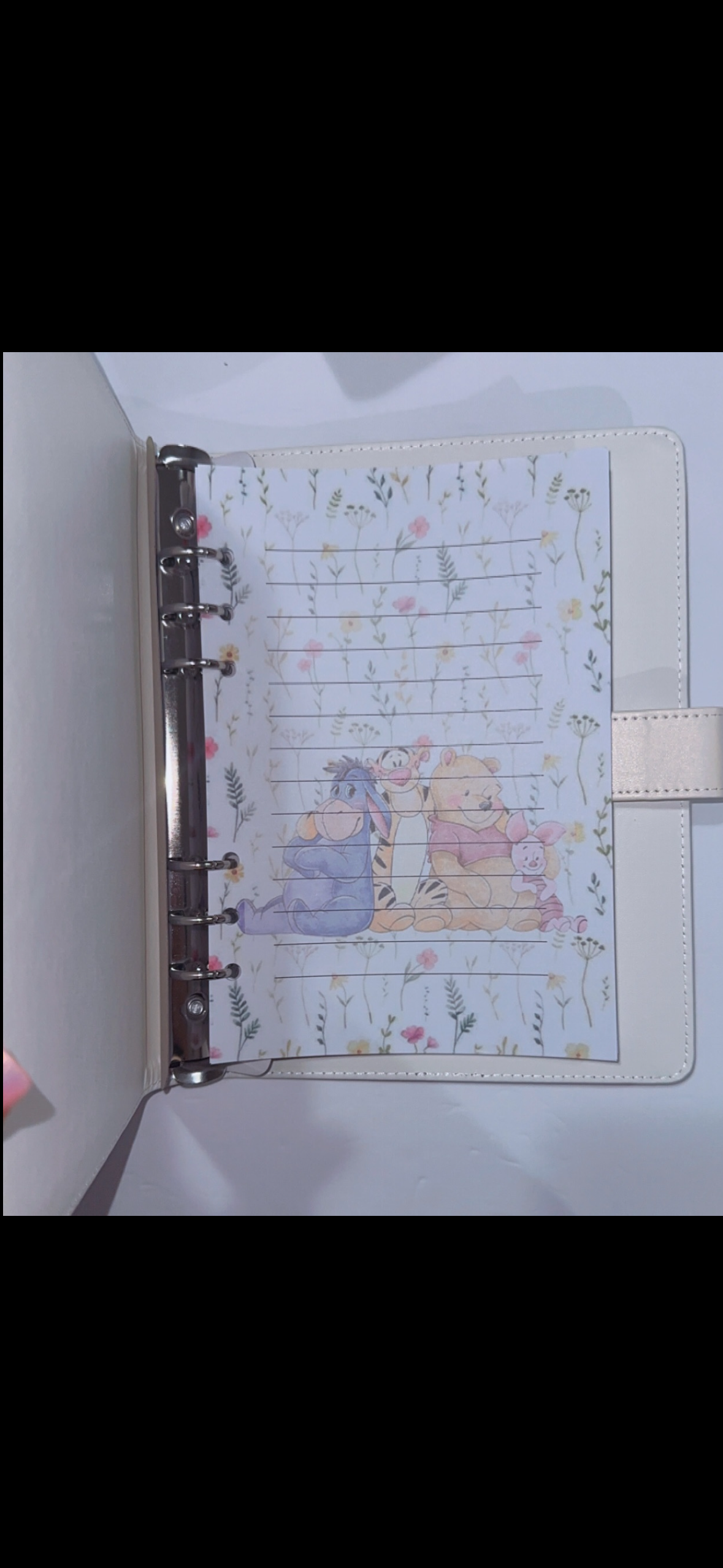 Winnie the Pooh  A5 Binder & Paper