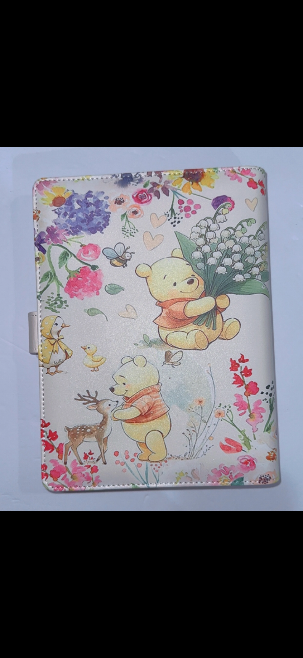 Winnie the Pooh  A5 Binder & Paper
