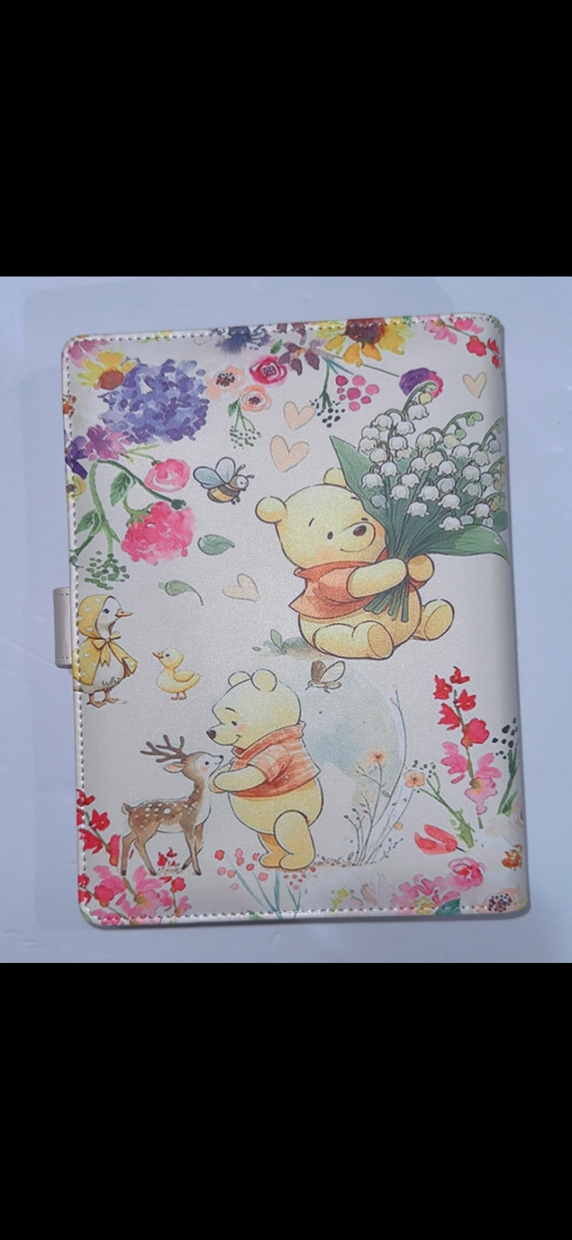 Winnie the Pooh  A5 Binder & Paper