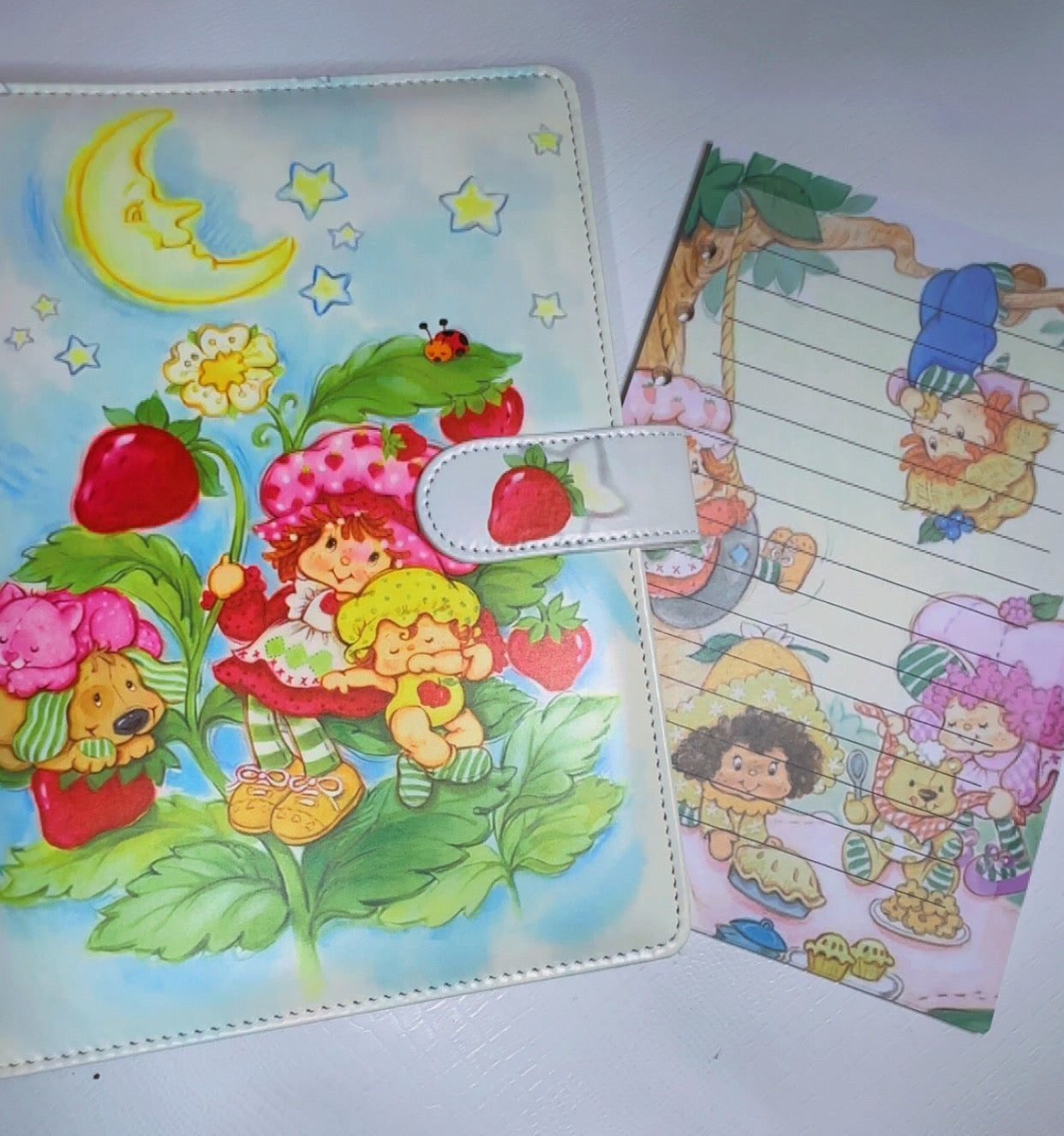 Strawberry Shortcake Family