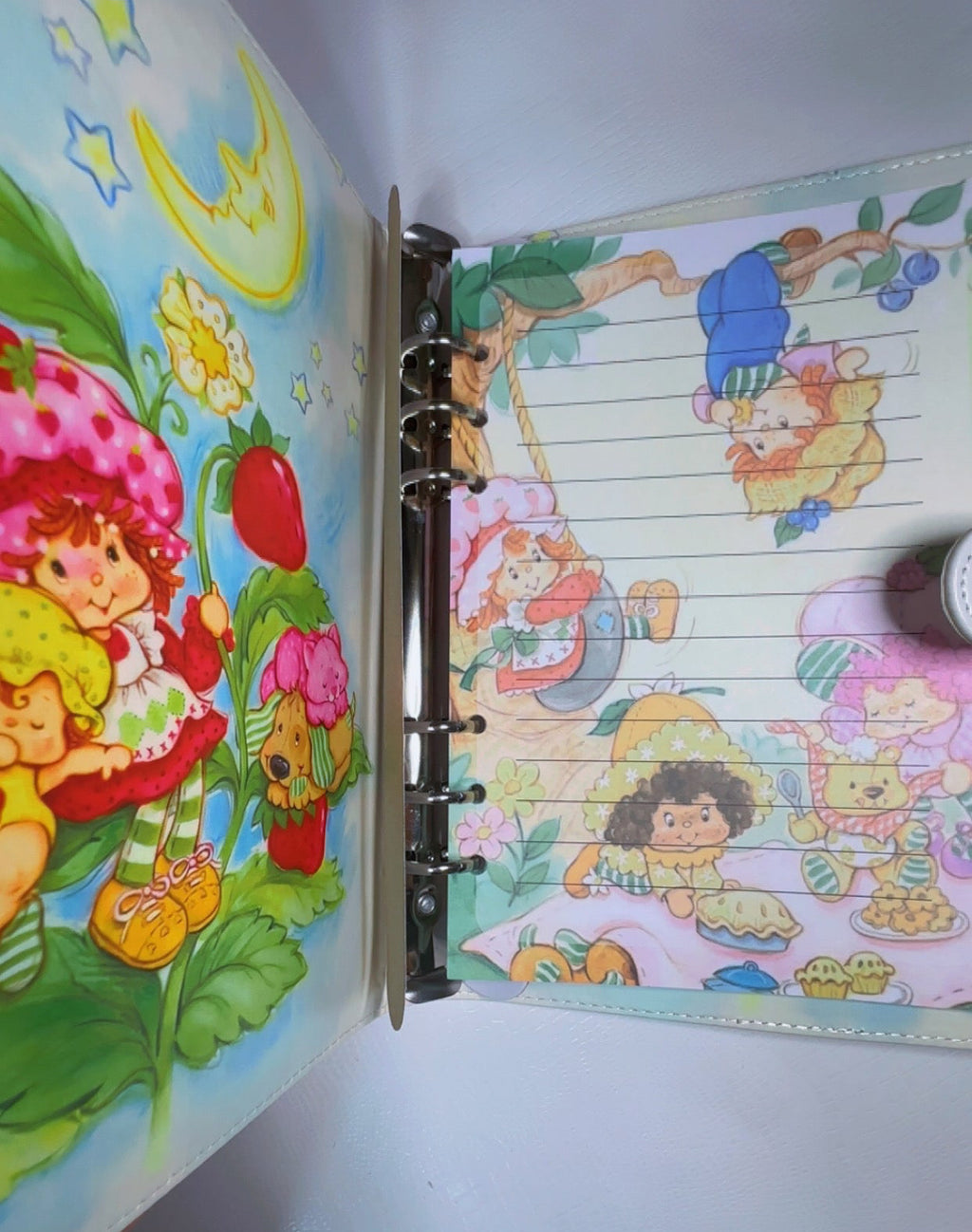 Strawberry Shortcake Family