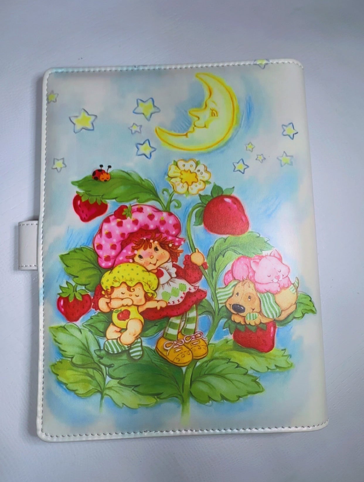 Strawberry Shortcake Family